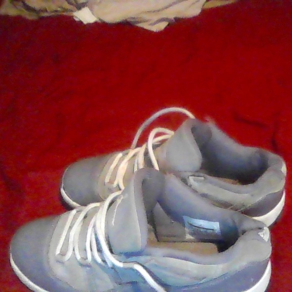 wolf grey 11s